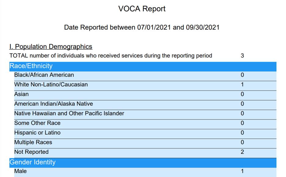 VOCA Report