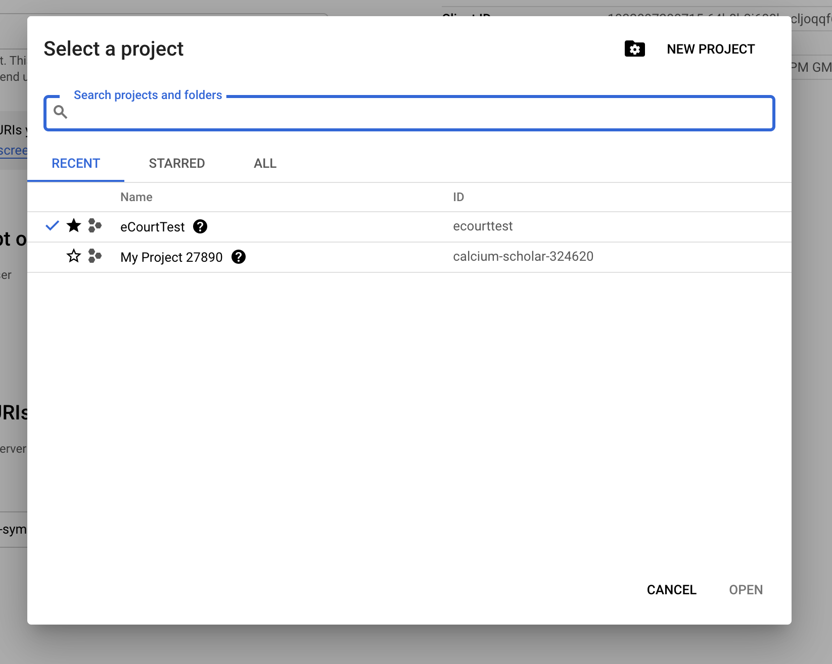 Google Project Screen