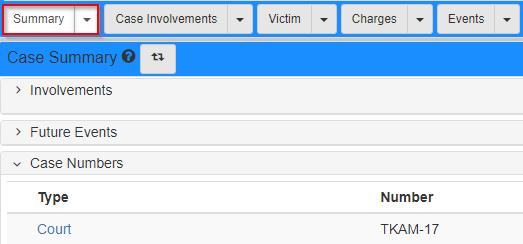 Case Numbers section of the Summary tab in the Case Folder View