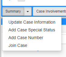 The Case Summary dropdown