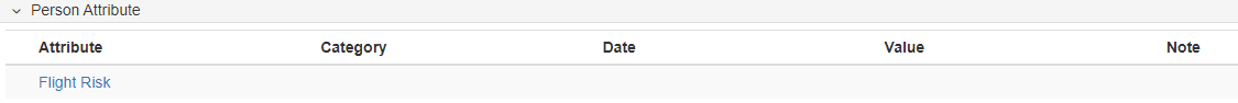 Person Attribute section of the Summary tab in the Person Folder View