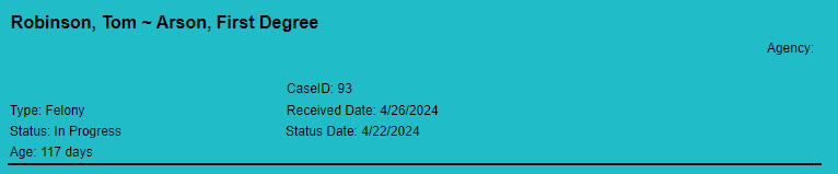 Case header of the Case Summary report